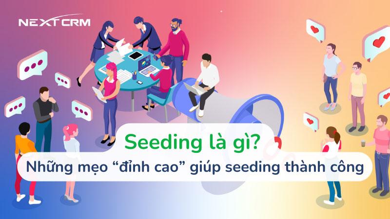 Tối ưu hóa chiến lược‌ seeding 2023: Bí quyết thành công từ các chuyên gia