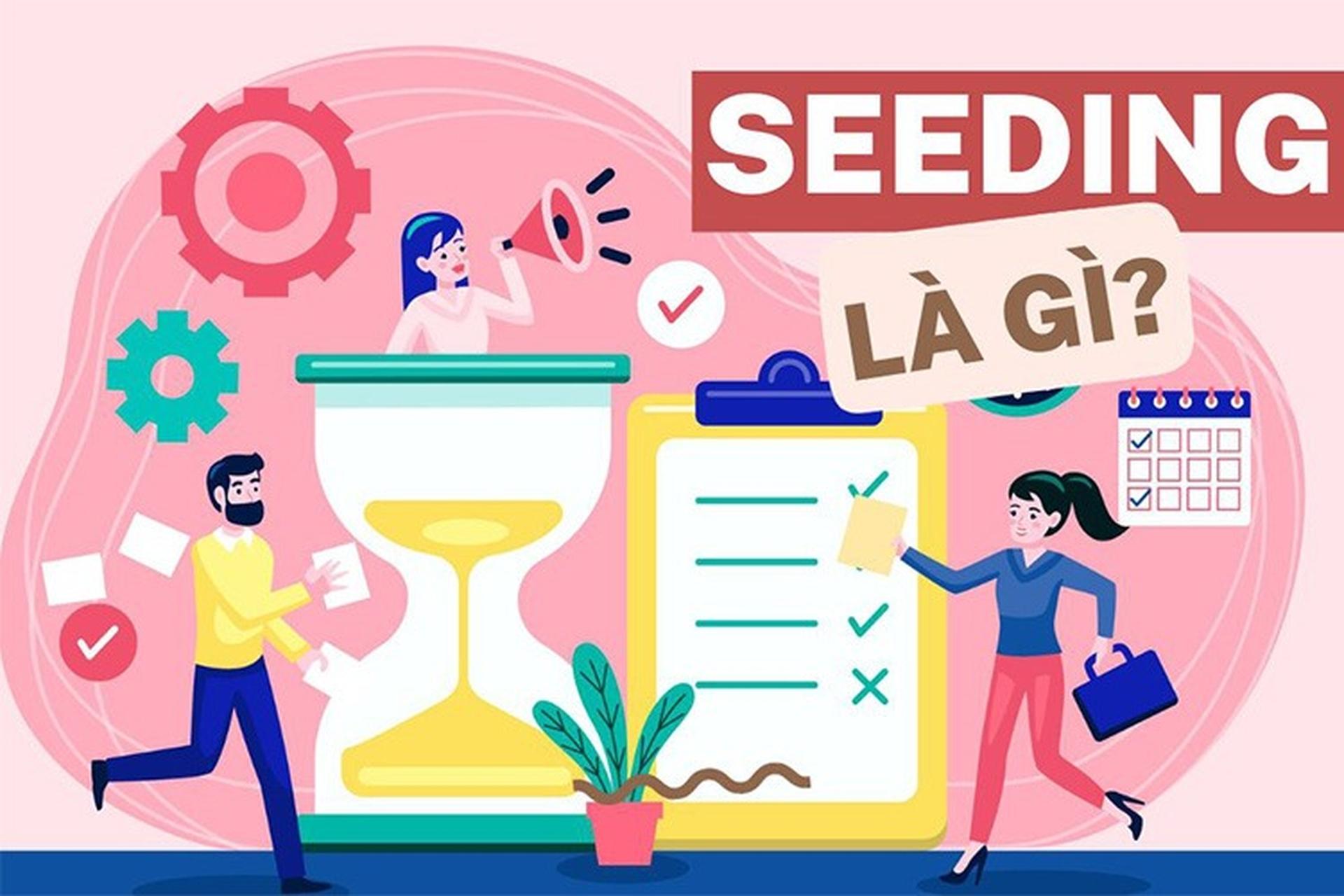 hiểu rõ chiến lược seeding: Khởi đầu cho doanh nghiệp nhỏ