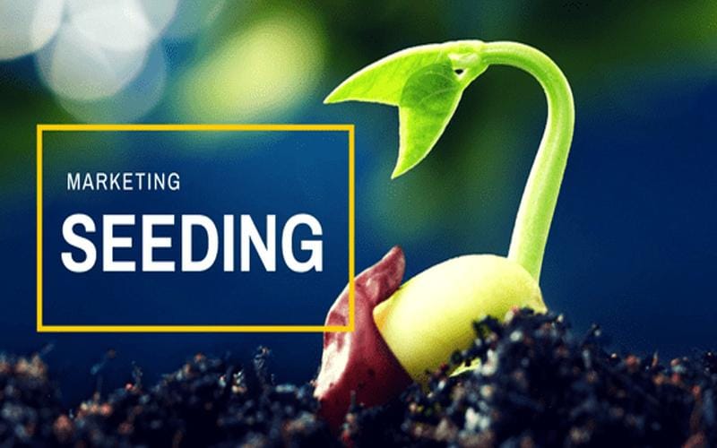 Mẹo seeding giúp bài viết⁣ của⁣ bạn tiếp cận nhiều độc giả hơn