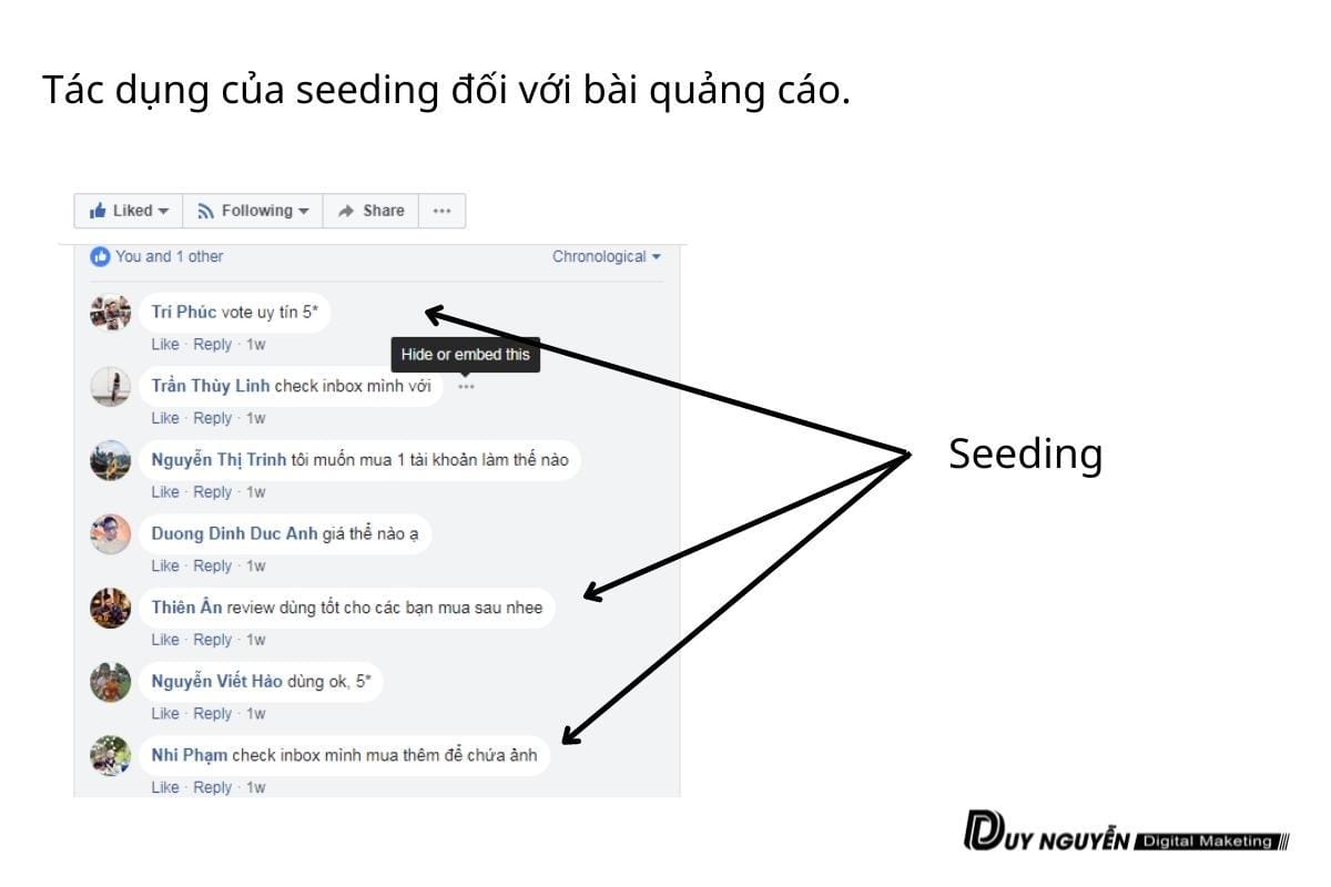 Seeding bài viết hiệu quả:​ Khuyến nghị để tối đa hóa sự chú ý trên Facebook