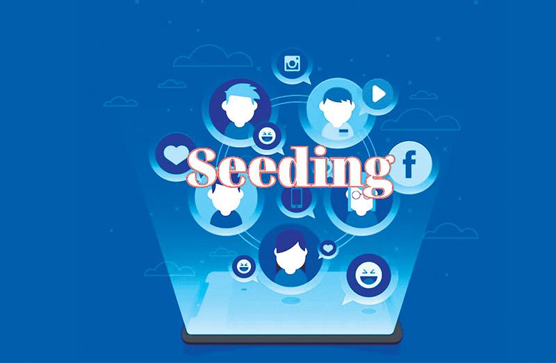 Tối ưu hóa chiến lược seeding: Bí quyết thành công trên các nền tảng