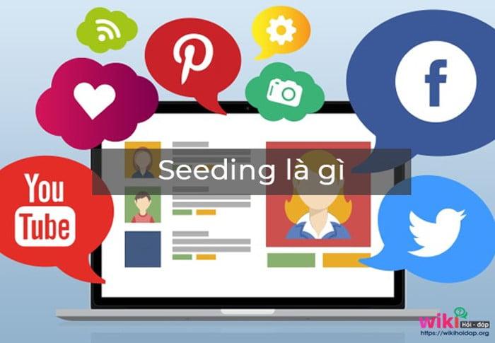 Phân tích kỹ thuật seeding ngầm và ‌seeding công khai qua từng kênh bán‌ hàng