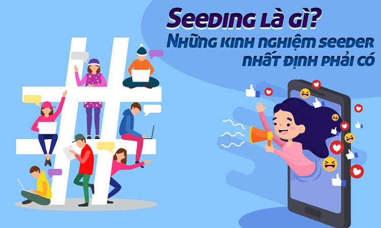 Các bước chạy seeding chuyên nghiệp: Làm sao để chiến dịch đạt hiệu quả cao?