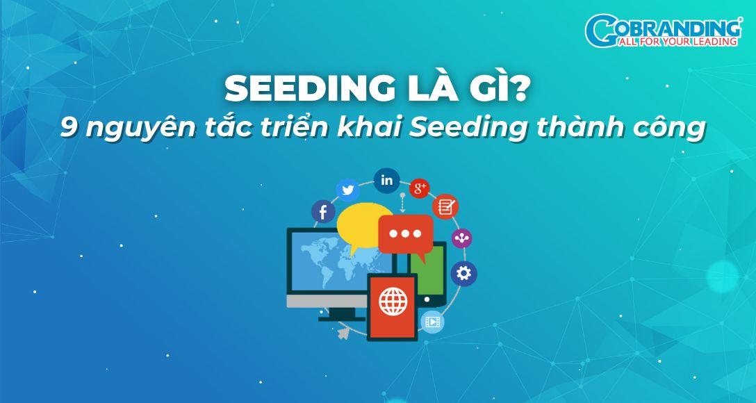 Case study về seeding thành công: Các chiến lược seeding thực tế giúp doanh nghiệp thành công.