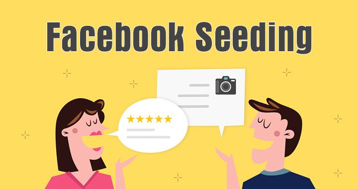 Kinh nghiệm thuê dịch vụ seeding: Những lưu ý khi tìm kiếm dịch vụ seeding uy tín