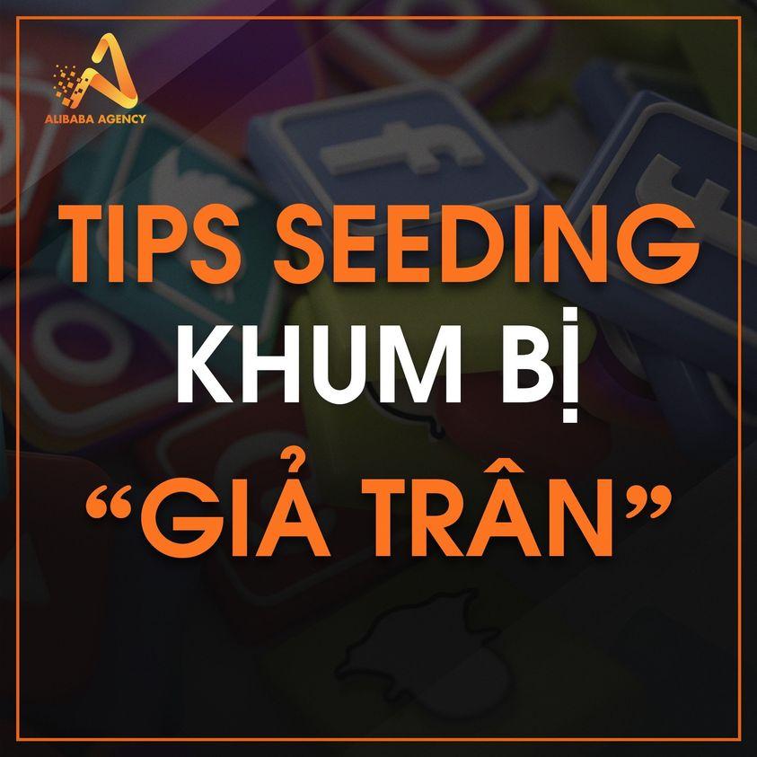 Seeding quảng bá thương hiệu mới: Cách tạo dựng sự nhận diện cho thương hiệu mới