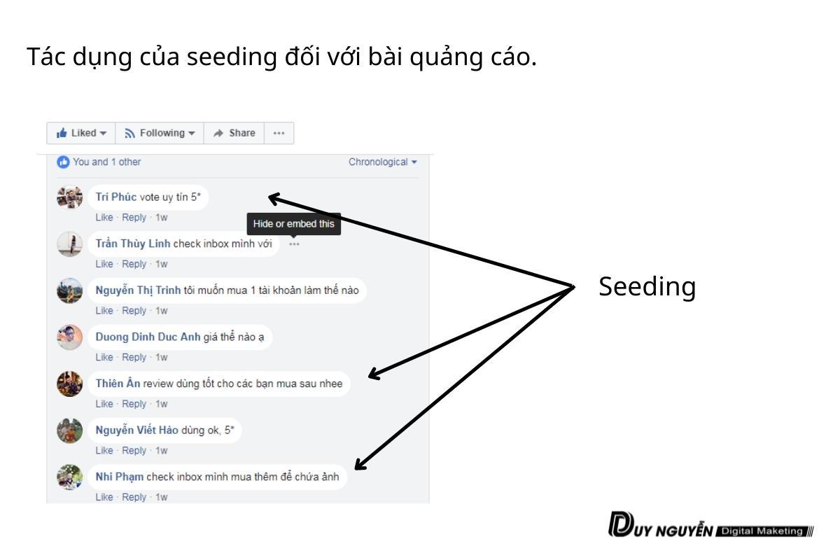 Seeding bài viết quảng cáo: Tạo hiệu quả tối đa cho chiến dịch quảng cáo