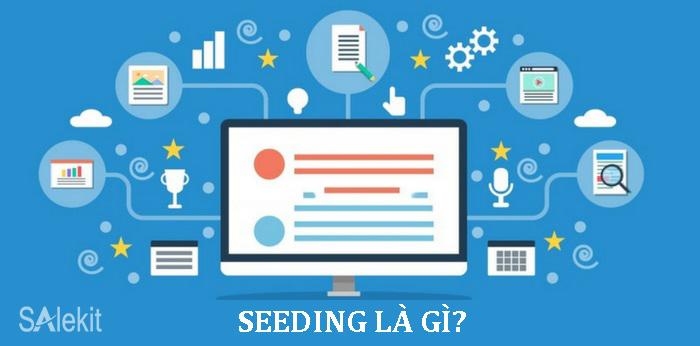 Seeding website tin tức: Cách quảng bá bài viết và xây dựng cộng đồng trực tuyến