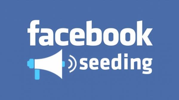 Phân tích và đánh giá hiệu quả chiến‍ dịch seeding ⁤trên⁣ Facebook