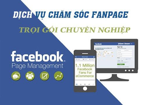 Tiêu chí lựa ⁢chọn đơn vị cung cấp dịch vụ chăm‍ sóc⁢ fanpage uy tín và chất lượng