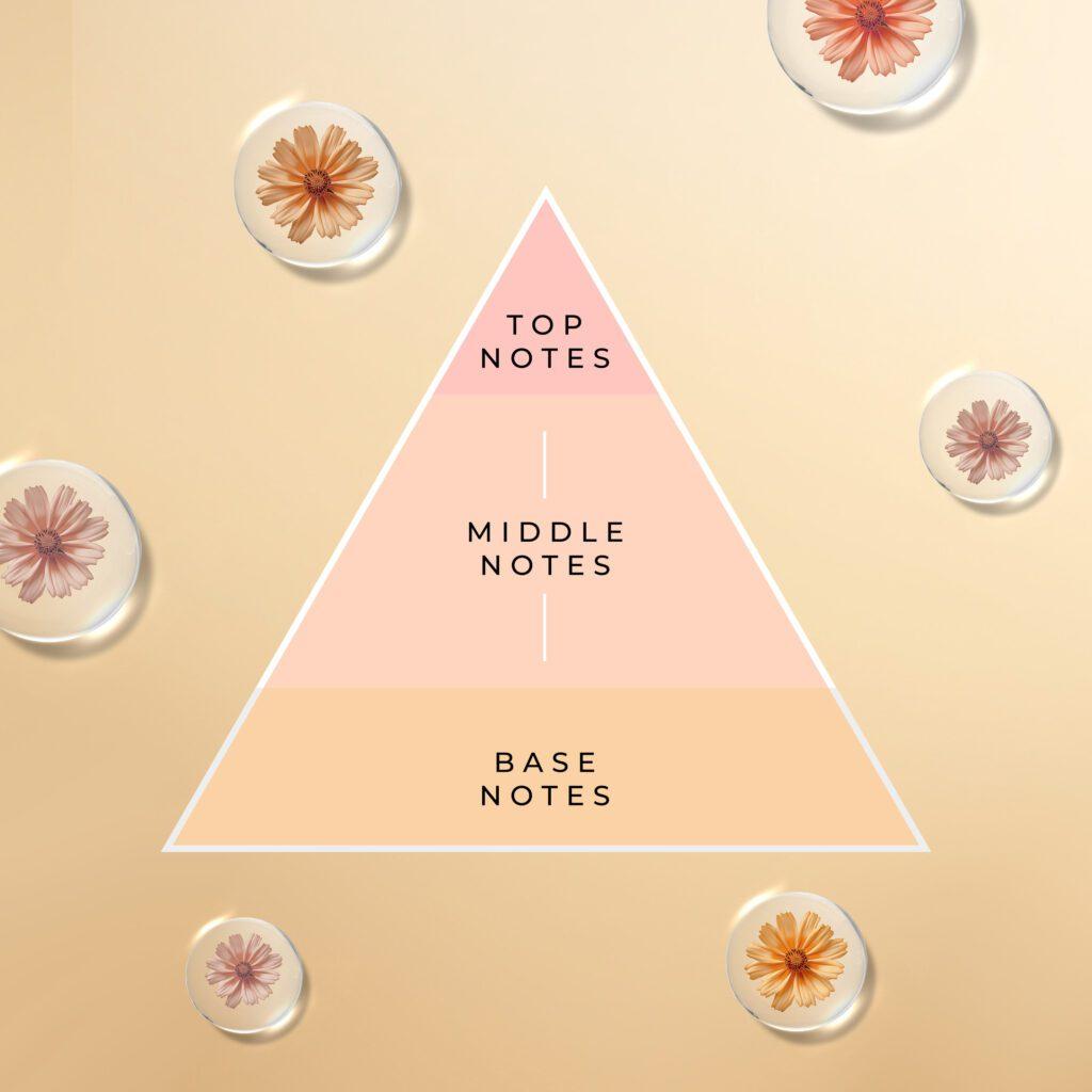 Unlocking the ⁢Notes Understanding Fragrance ​Layers and ⁤Their Meaning