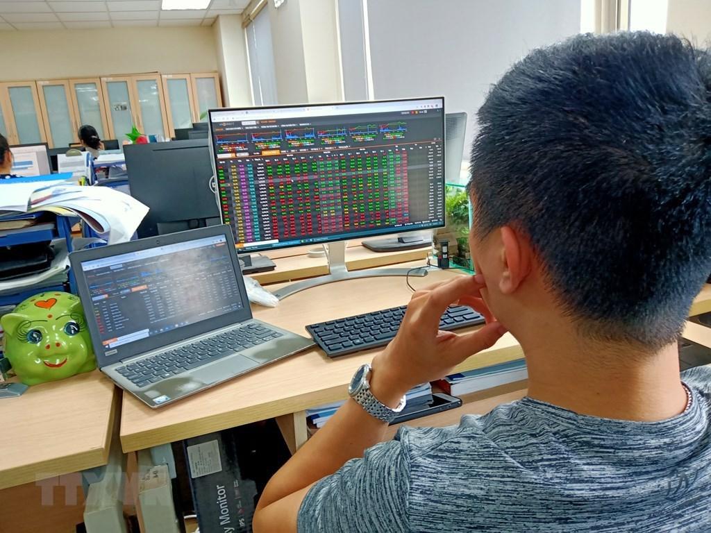 Lời khuyên dành cho nhà đầu tư cá nhân khi​ sử dụng chỉ số minh bạch để ra quyết định
