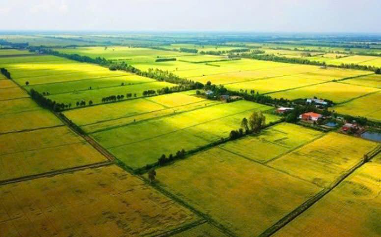 7 Thay Đổi Nổi Bật Trong Luật Đất Đai Mới 2024