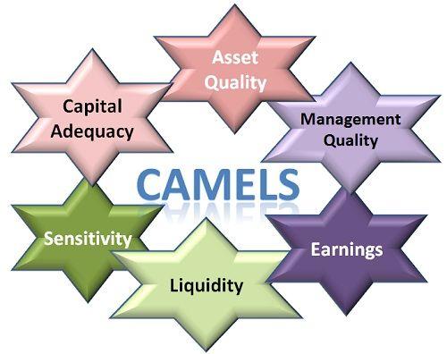 Ứng dụng mô hình⁢ CAMELS trong phân‌ tích⁢ ACB‌ và điều chỉnh phù ‌hợp với bối cảnh Việt Nam