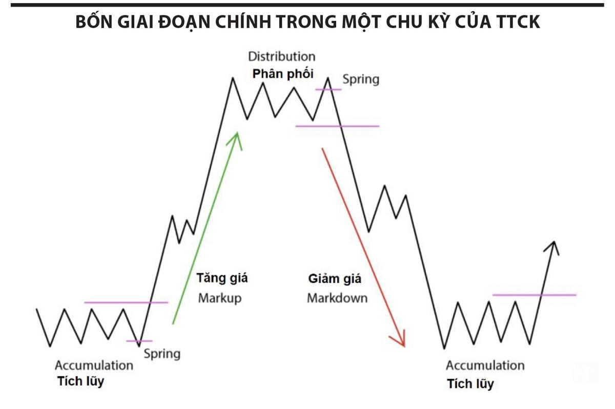 Giải mã biến số chu kỳ giá tài sản tài​ chính 2024